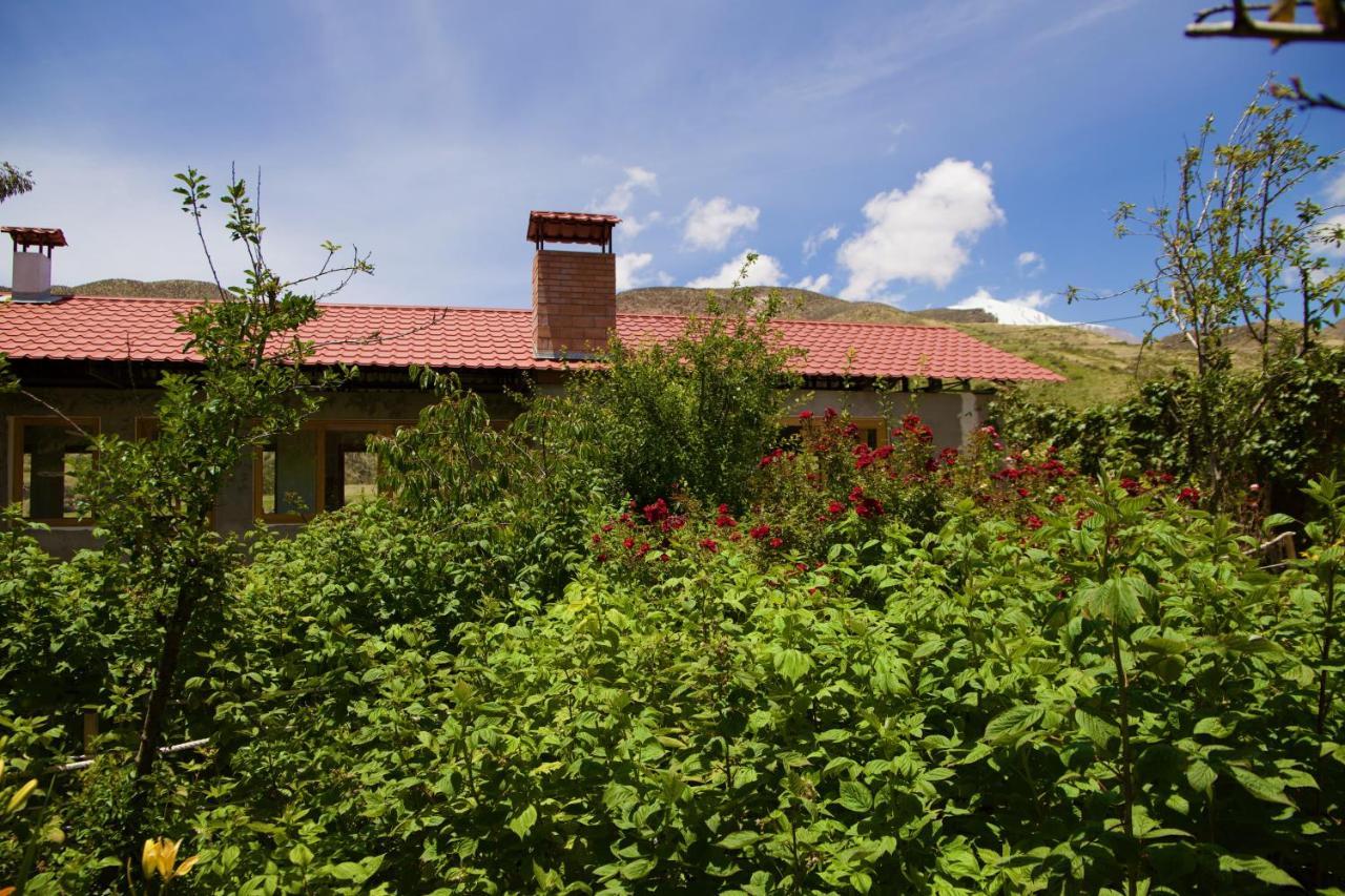Hostal Vientos Del Altiplano Putre Exterior photo