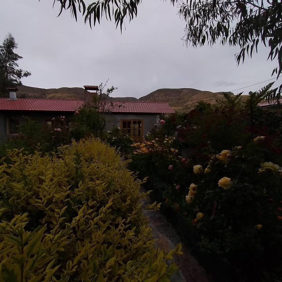 Hostal Vientos Del Altiplano Putre Exterior photo