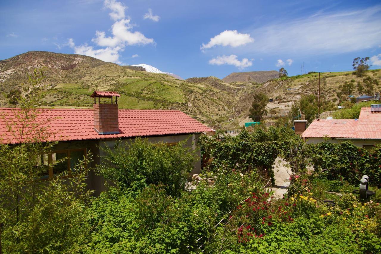 Hostal Vientos Del Altiplano Putre Exterior photo